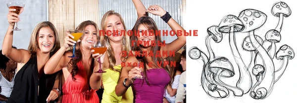 Альфа ПВП Абаза