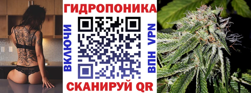 Каннабис SATIVA & INDICA  Карачев 
